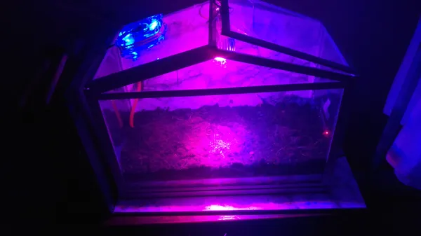 Automated Farm